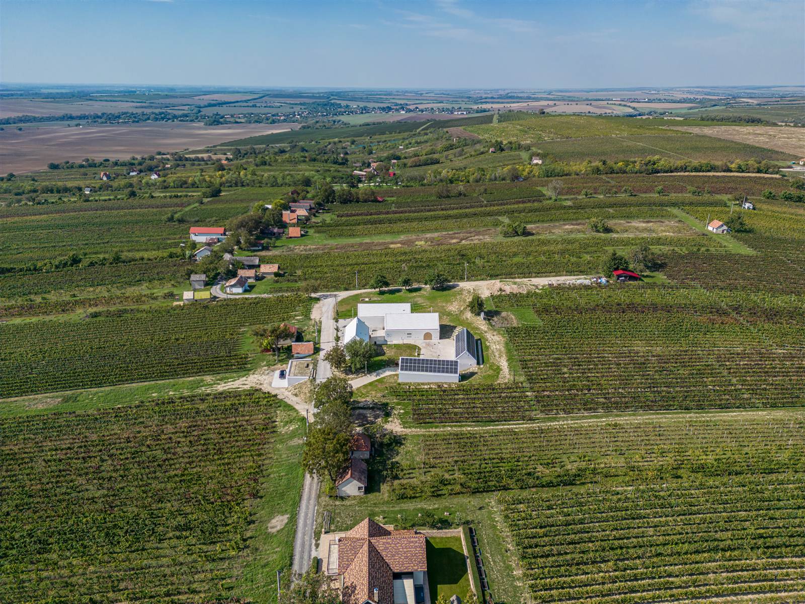 Letecký záber vinárstva medzi vinohradmi v Strekove